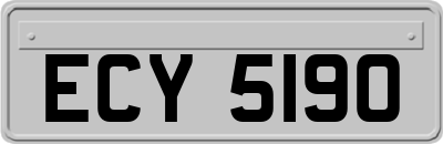 ECY5190