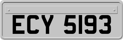 ECY5193