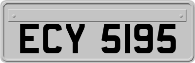 ECY5195
