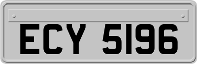 ECY5196