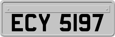 ECY5197