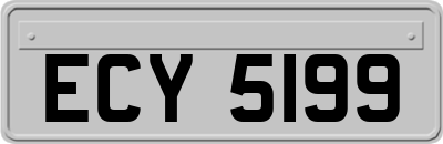 ECY5199