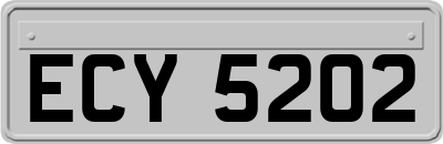 ECY5202
