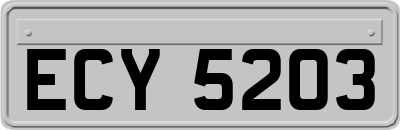 ECY5203