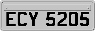 ECY5205