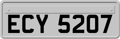 ECY5207