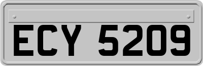 ECY5209