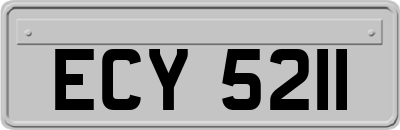 ECY5211