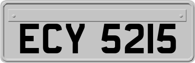 ECY5215