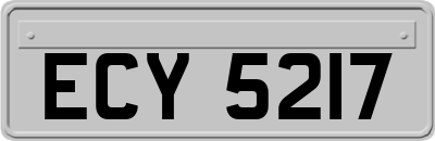 ECY5217