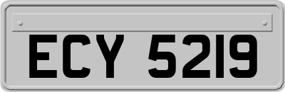 ECY5219