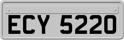 ECY5220