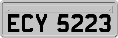 ECY5223