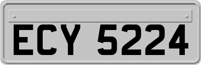 ECY5224