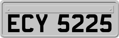 ECY5225