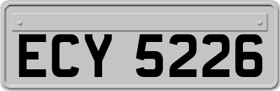 ECY5226
