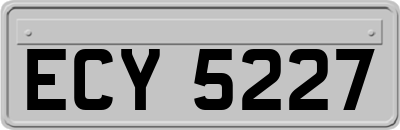 ECY5227