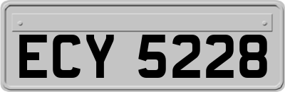 ECY5228
