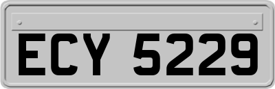 ECY5229