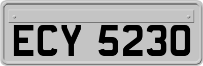 ECY5230