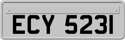 ECY5231