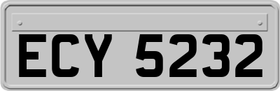ECY5232