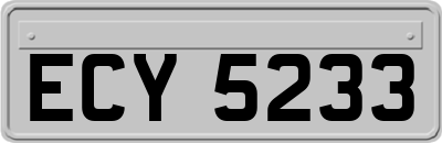 ECY5233