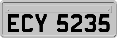ECY5235