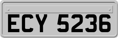 ECY5236