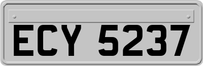 ECY5237