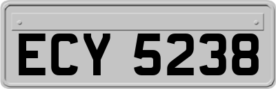 ECY5238