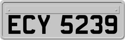 ECY5239