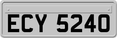 ECY5240