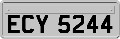 ECY5244