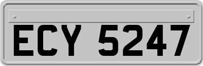ECY5247