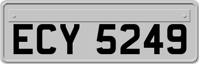 ECY5249