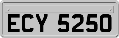 ECY5250