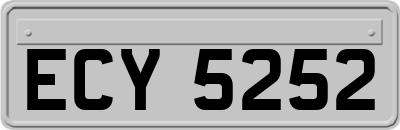 ECY5252