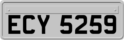 ECY5259