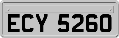 ECY5260