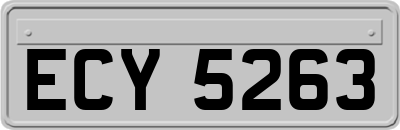 ECY5263