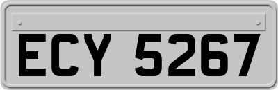 ECY5267