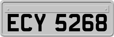 ECY5268