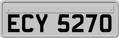 ECY5270