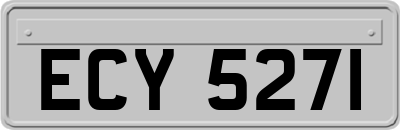 ECY5271
