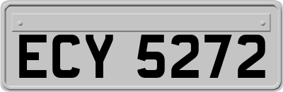 ECY5272
