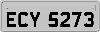 ECY5273