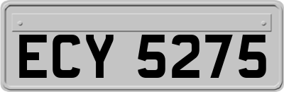 ECY5275