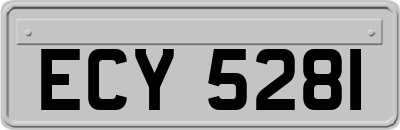 ECY5281