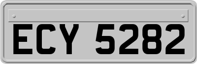 ECY5282